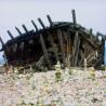 images/Schweden/Schweden 2009/IMG_4508.jpg